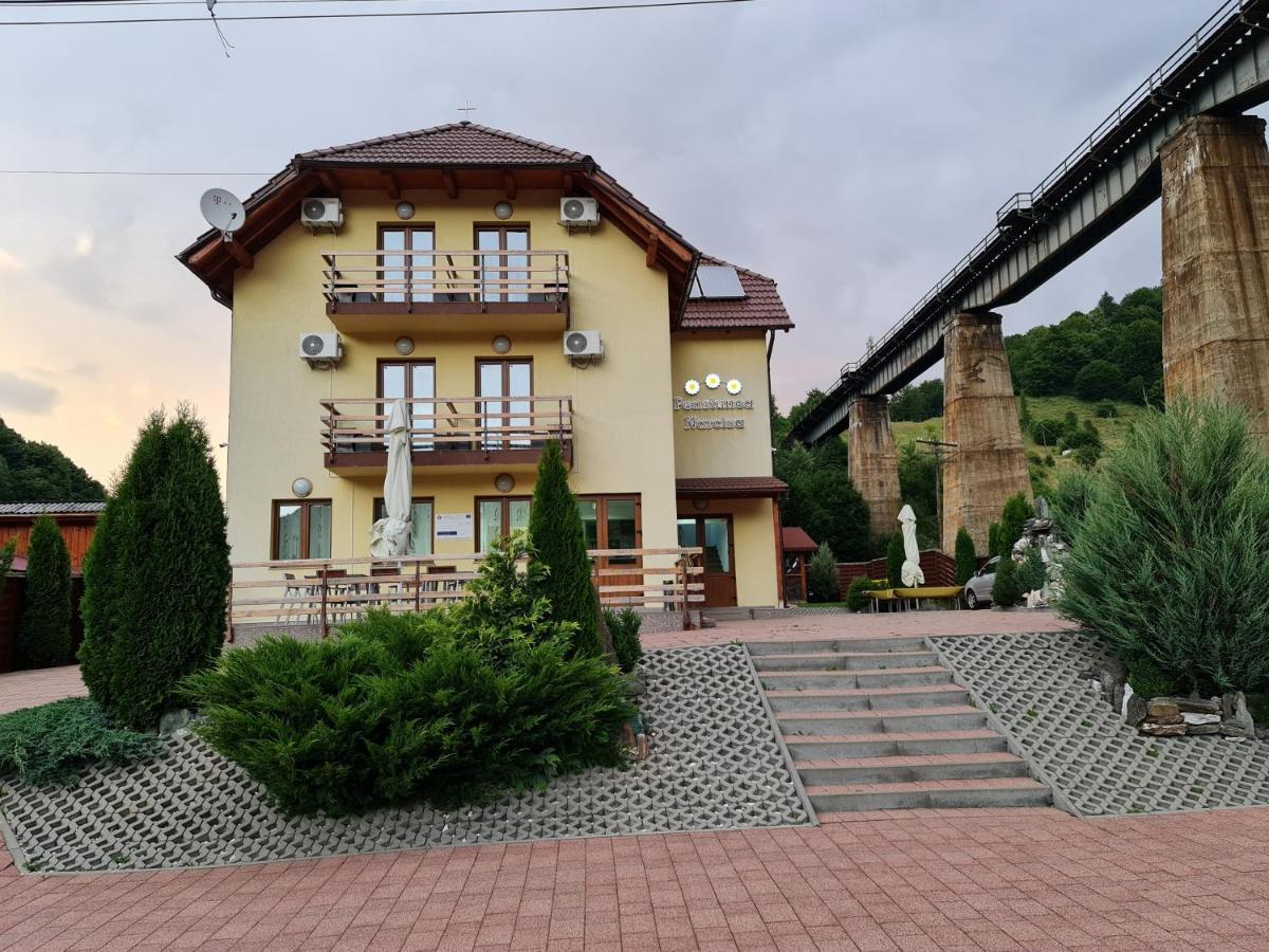 Pensiunea Narcisa Romuli Экстерьер фото