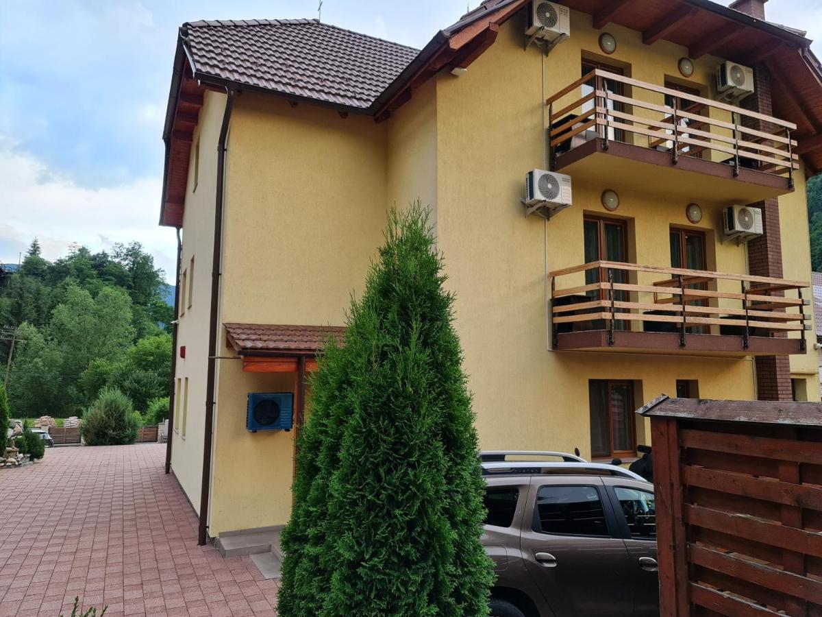 Pensiunea Narcisa Romuli Экстерьер фото