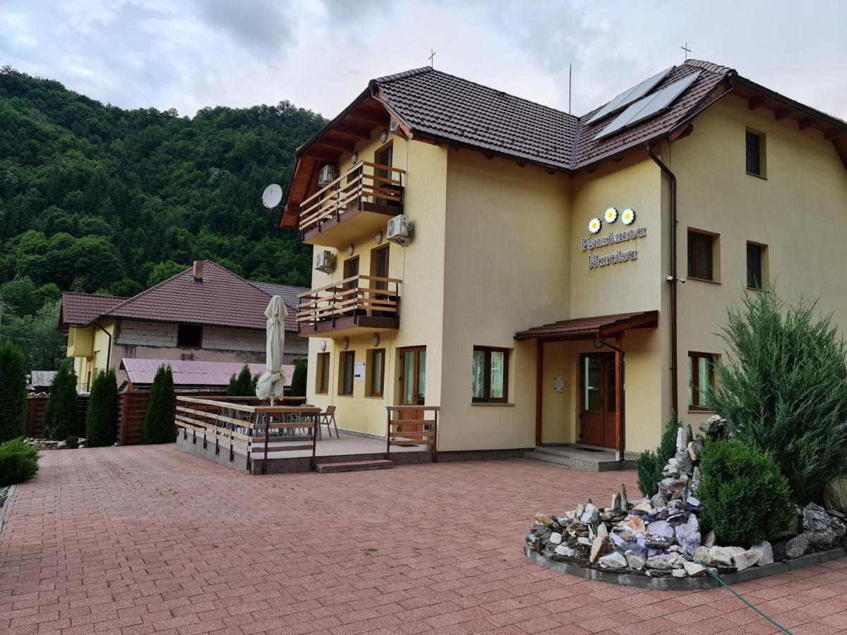 Pensiunea Narcisa Romuli Экстерьер фото